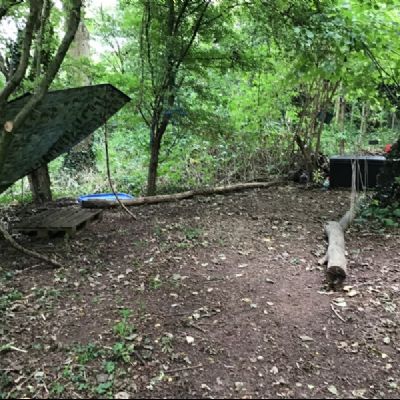 Forest school 2020